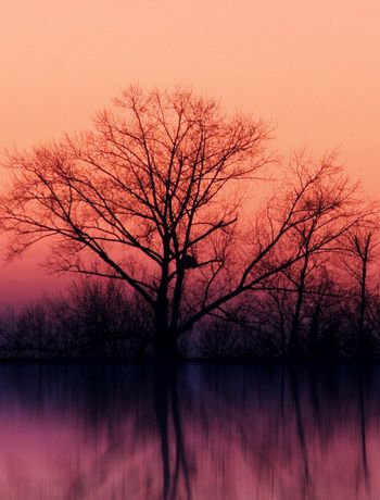 markdown最主要语法例子-admin