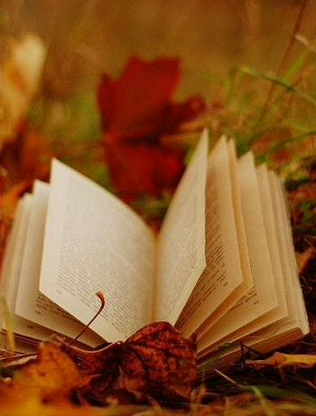 连接局域网远程桌面的方法-admin