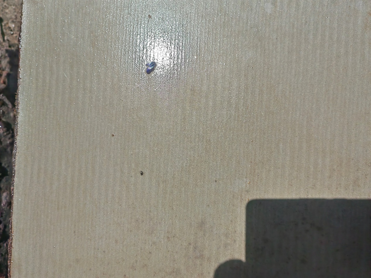 null 1717991485341.jpeg