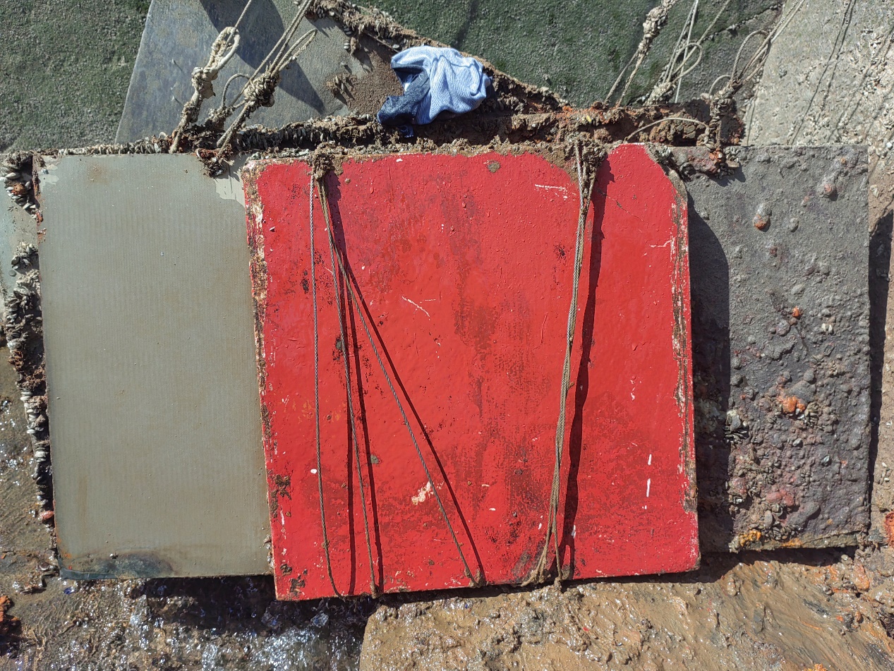 null 1717991485272.jpeg