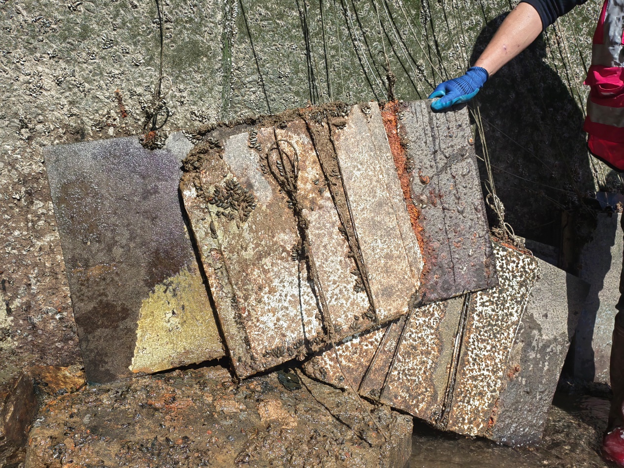 null 1717991440457.jpeg