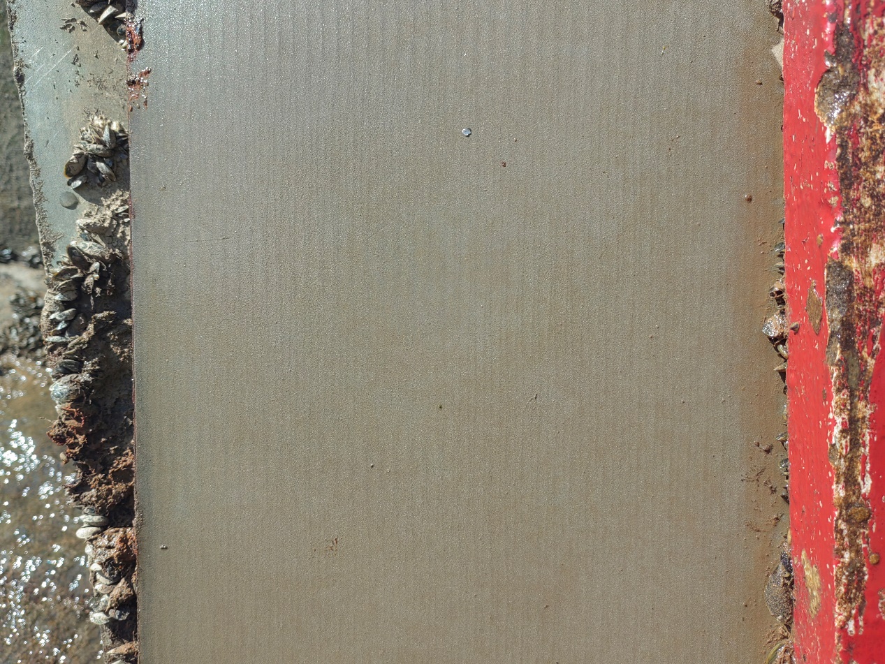 null 1717991485292.jpeg