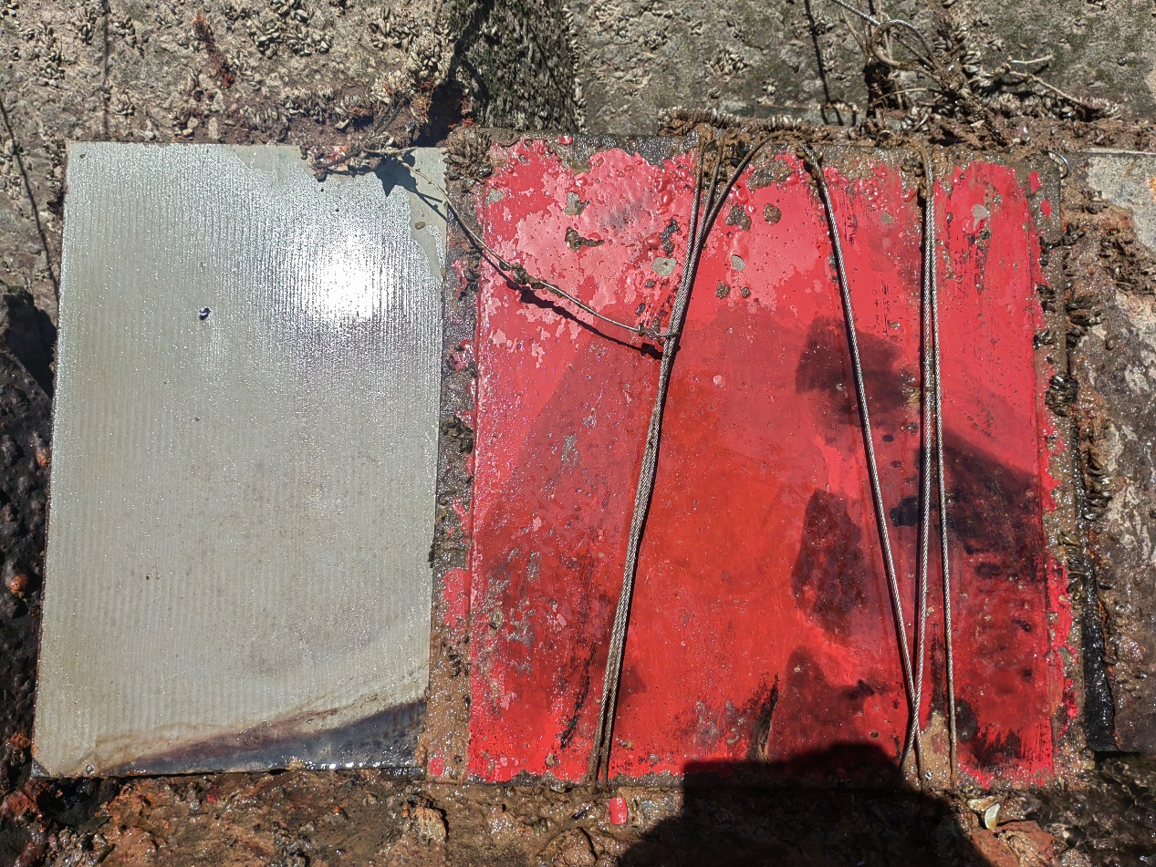 null 1717991485315.jpeg