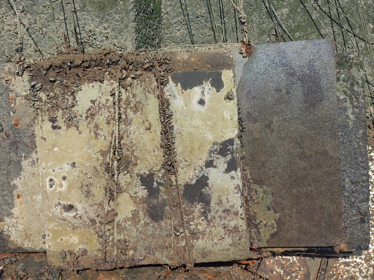 null 1717991463995.jpeg