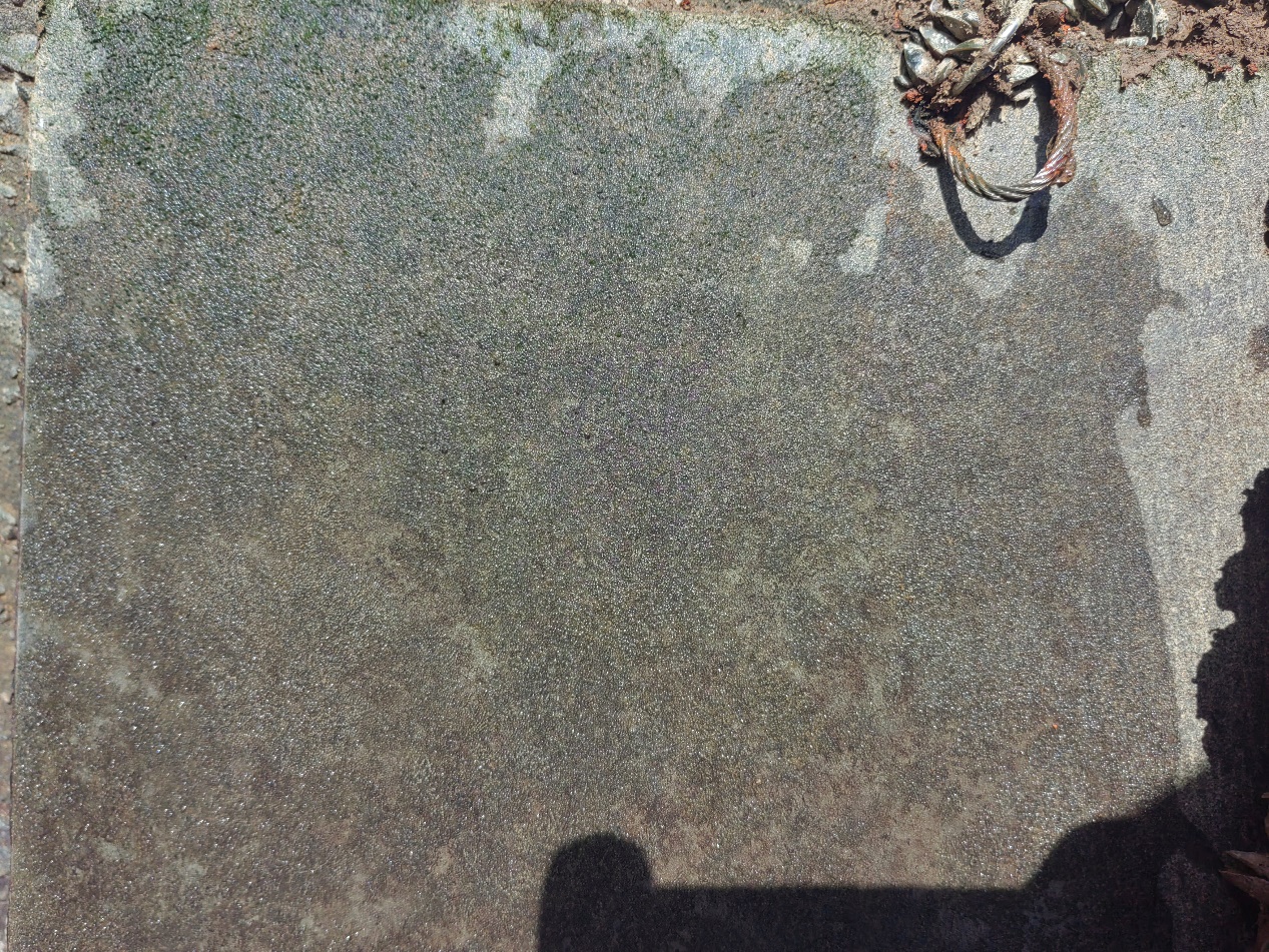 null 1717991464050.jpeg