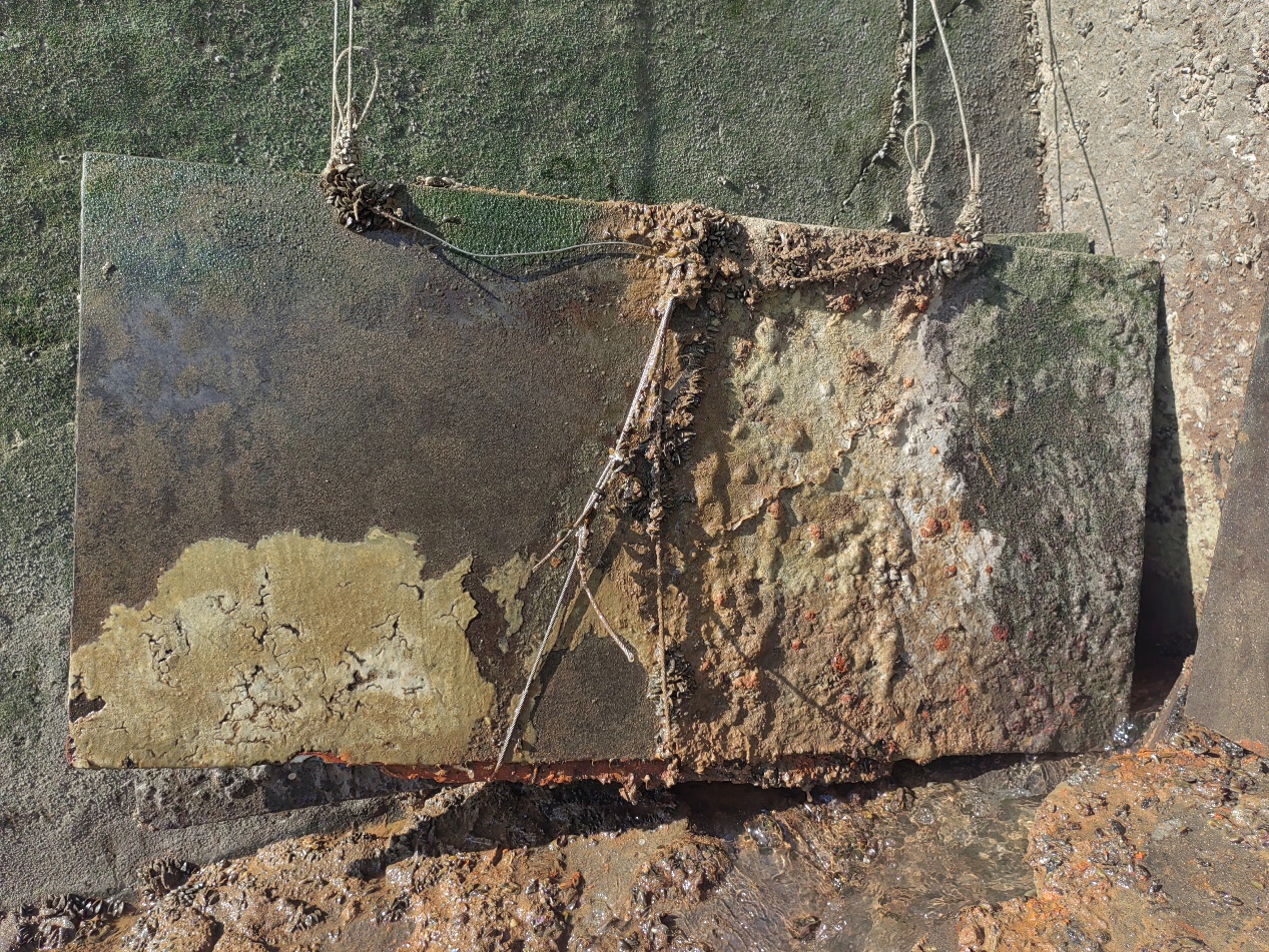 null 1717991463938.jpeg